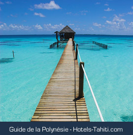 Guide de la Polynésie